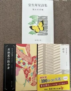 小説まとめ売り