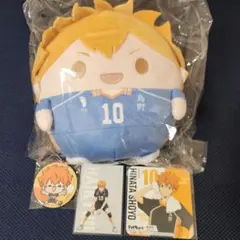 【ハイキュー!!】日向翔陽グッズ4点セット【ぬいくじなど】