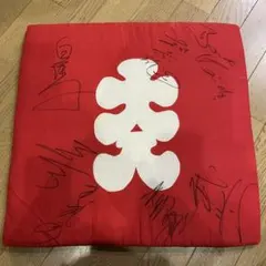 大相撲 サイン入り座布団