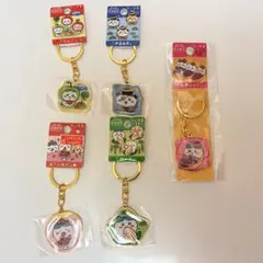 ご当地ちいかわ ハチワレ 5点セット