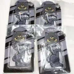 混血のカレコレ ミニフォトケース ボティス 4点セット