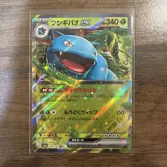 希少】フシギバナEX RR 20th Anniversary CP6 ポケカ - メルカリ