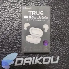True Wireless Earphones ワイヤレスイヤホン