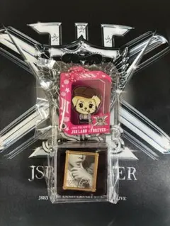 武尊 記念ピンバッジ 非売品GOAT引退セレモニー サイン入り激レア