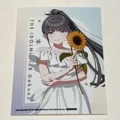 雨夜燕　有楽町マルイ　sunflower カンバッジ A アップ22点セット 雨夜燕 有楽町マルイ sunflower カンバッジ A アップ22点セット - メルカリ