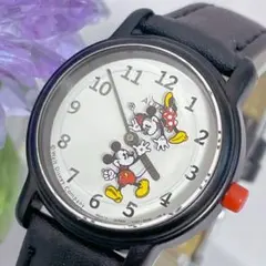 新品 seiko レディー用腕時計 トトロ模様 Watch 文字がどんぐり - メルカリ