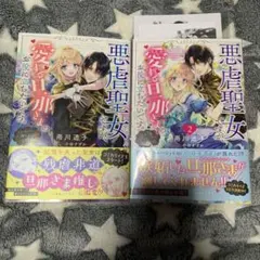 悪虐聖女ですが、愛する旦那さまのお役に立ちたいです。1〜2(とはいえ、溺愛は想定