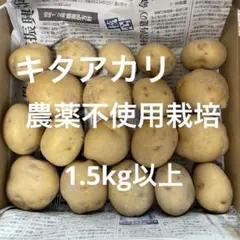 新じゃが　キタアカリ　農薬不使用栽培のサムネイル