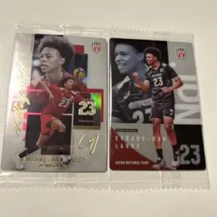 バレーボール男子日本代表 ツインウエハース 2026 エバデダン・ラリー