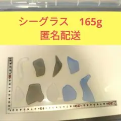シーグラス 165g セット