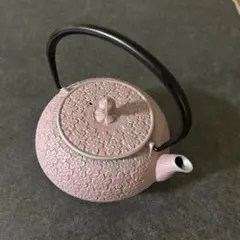 未使用】マリアージュフレール 南部鉄器 ルヌ 鉄瓶 ティーポット
