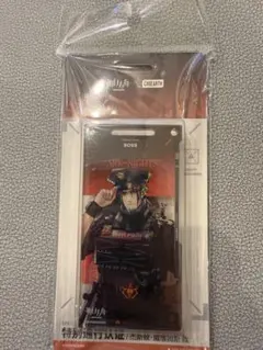 ててて@akiakane14様 リクエスト 2点 まとめ商品