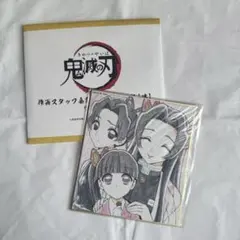 鬼滅の刃 鬼滅 胡蝶三姉妹 全集中展 複製ミニ色紙 胡蝶カナエ しのぶ カナヲ