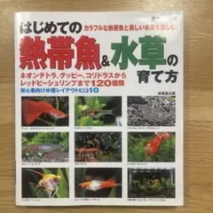 はじめての熱帯魚&水草の育て方