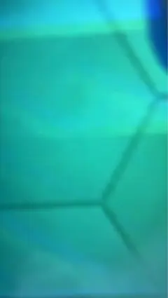 専用