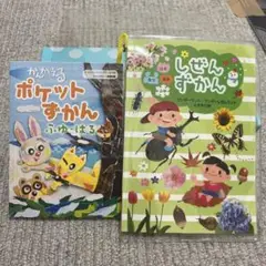 ワンダーランド、ワンダー、自然ランド4月号付録と考えるポケット図鑑、冬春