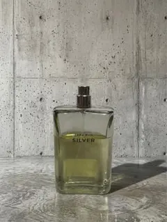 ZARA SILVER ABSOLUTEのサムネイル