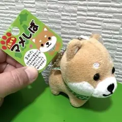 Item thumbnail for item 7038b45d-bb34-4517-acfe-cd96d8e17dfb