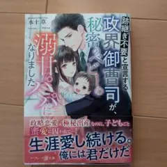 跡継ぎ不要と宣言する政界御曹司が、秘密のベビーの溺甘パパになりました