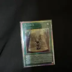 遊戯王 プリマの光 プリシク