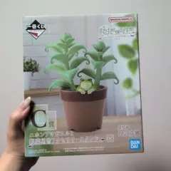 【C賞】一番くじ 爬虫類＆両生類～Tiny Friends～vol.3
