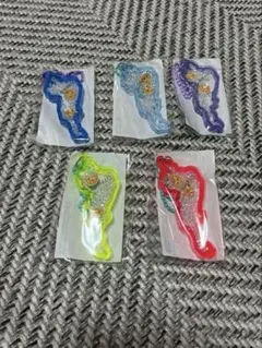 琵琶湖キーホルダー(伊吹・全5色コンプセット) 琵琶湖 びわ湖 BIWAKO