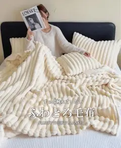 明日まで　美品　毛布　ソファカバー　ベッドシーツ　180×200 big ビッグ