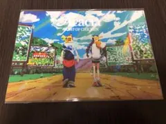 2025年最新】acacia bumpの人気アイテム - メルカリ