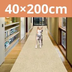 Item thumbnail for item 403ee07a-20f0-41cc-b5d3-10455ac1760a