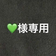専用出品