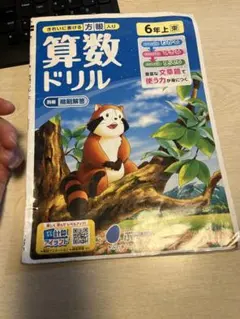 算数ドリル 6年上 文溪堂のサムネイル
