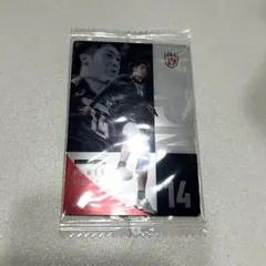 バレーボール 男子日本代表 ツインウエハース トレカ 石川祐希