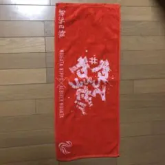 新潟アルビレックス 応援用タオル オレンジ
