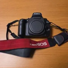 Item thumbnail for item 3e19509f-821b-498a-a2f7-62b8f6cb0d5a