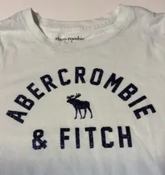 値下げAbercrombie & Fitch ロングスリーブTシャツ 15/16
