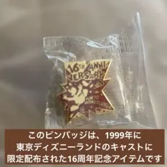 Disneyland 70周年記念 ピンバッジ&ストラップセット - メルカリ
