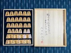 Item thumbnail for item 70acb215-fd2f-4e69-9ef7-312fa6dbe85e