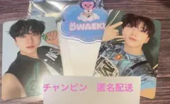 straykids skzoo チャンビン　トゥエッキ　ネームバッジ トレカ