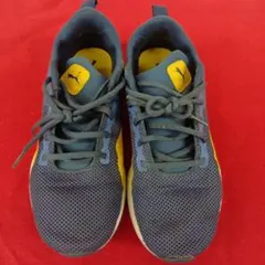 Item thumbnail for item 06fe083b-0909-40c2-9ec5-1da02d466a83