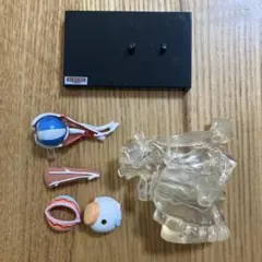 Item thumbnail for item 1e448bf8-cc17-4188-a165-ab809f3d3811