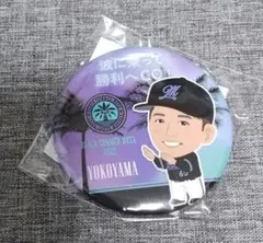 2025年最新】横山陸人 千葉ロッテマリーンズの人気アイテム - メルカリ