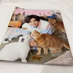 POTATO 2020年4月号 WEST. 小瀧望