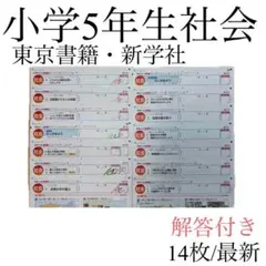 小学5年 理科　カラーテスト 令和7年度 11枚分 東京書籍　教育同人社　最新 小学5年 理科 カラーテスト 令和7年度 11枚分 東京書籍 教育同人社