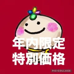 ★年内限定特別価格★
