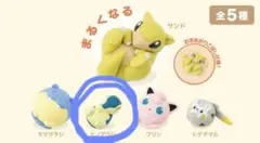 ポケモン　まるくなる　ヒノアラシ
