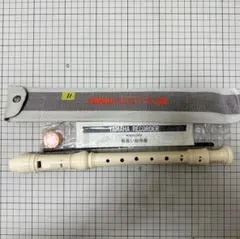 Item thumbnail for item 801d225e-af66-4f2f-9cdf-f98821b50634