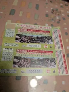 【翌日発送】よみうりランド 入園ご招待券 2枚セット★乗り物券付き2枚のサムネイル