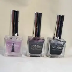 S♡Mint エスミントニュアンスインクネイル2本＋ぼかし液セット