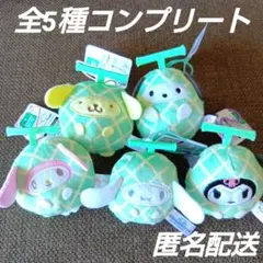 サンリオキャラクターズ フルーツ着ぐるみマスコット〜メロン〜 5点