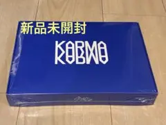 Stray Kids スキズ KARMA CEREMONY Ver. 未開封